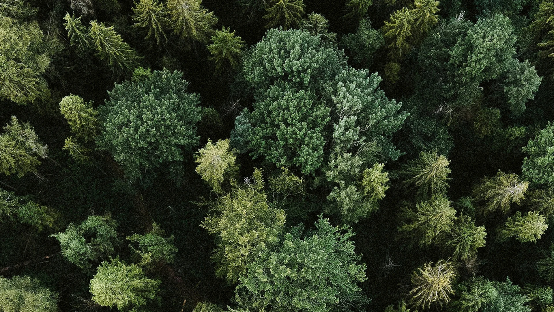 Alpura Retreat: your sustainable hotel in South Tyrol