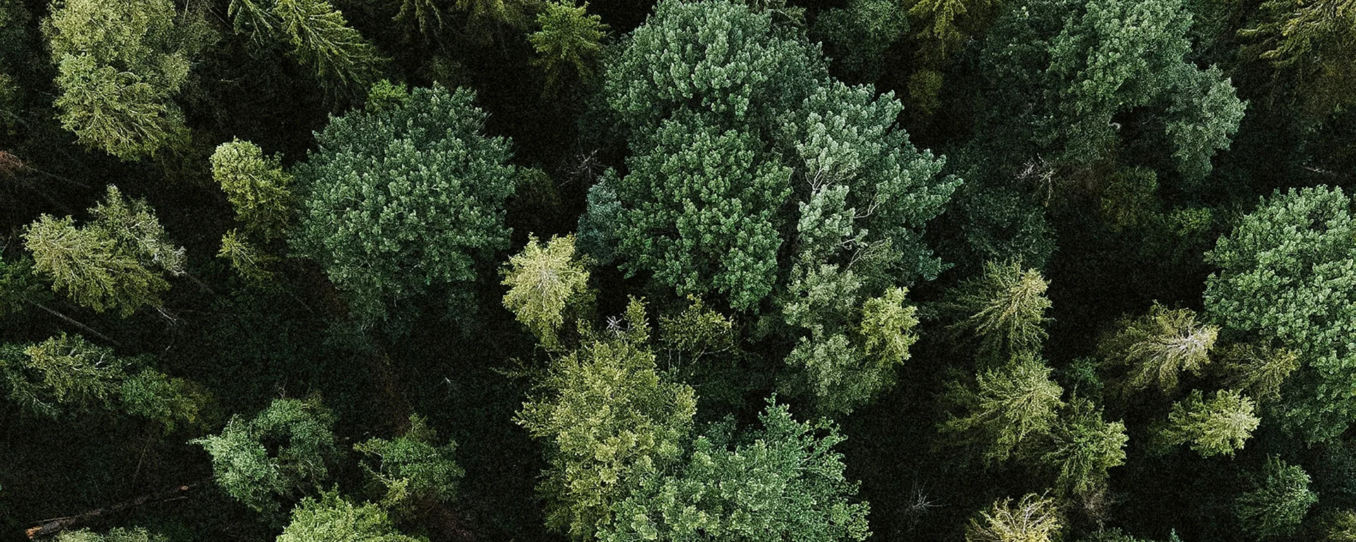 Alpura Retreat: the family hotel in Ratschings, South Tyrol