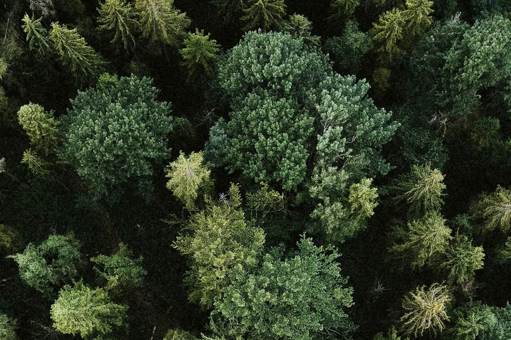 Fulfilling nature time at your active hotel in South Tyrol Fulfilling nature time at your active hotel in South Tyrol