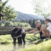 Alpura – Ihr exklusives 5-Sterne-Retreat