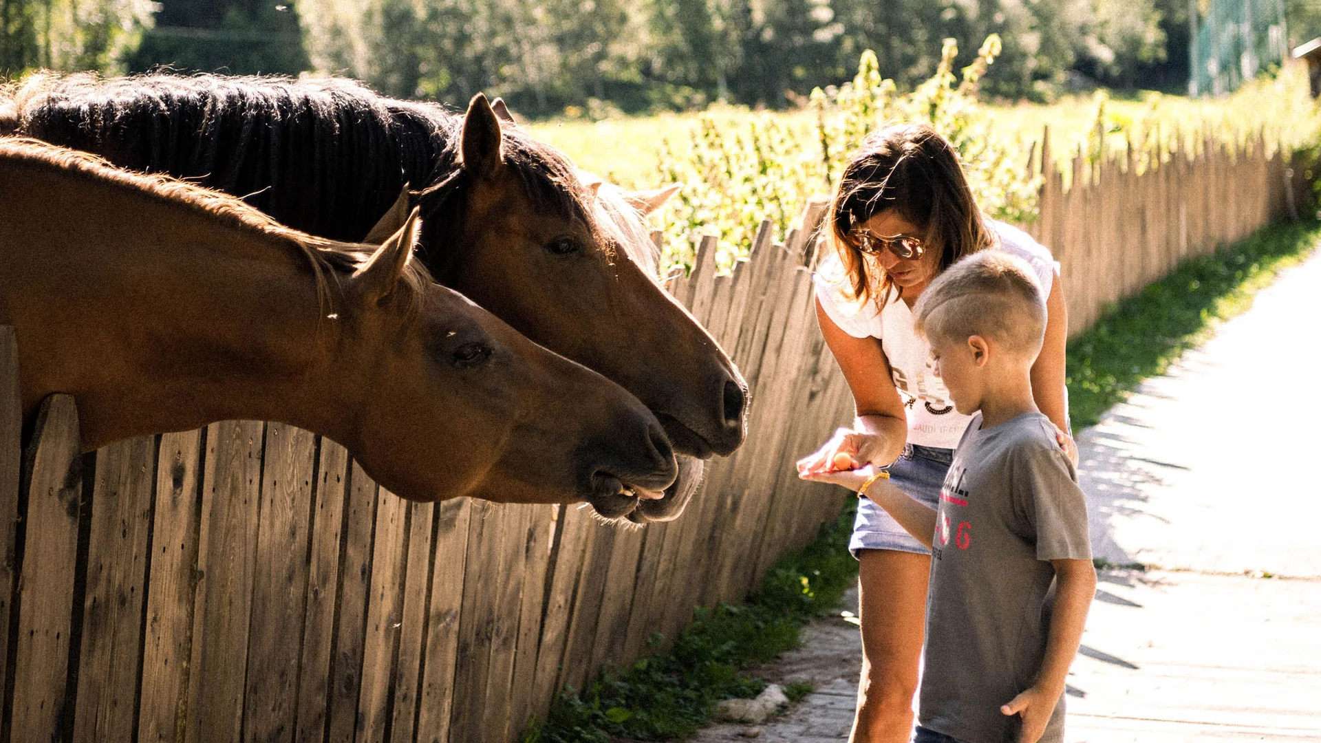 Alpura: your exclusive hotel offering childcare in South Tyrol Alpura: your exclusive hotel offering childcare in South Tyrol