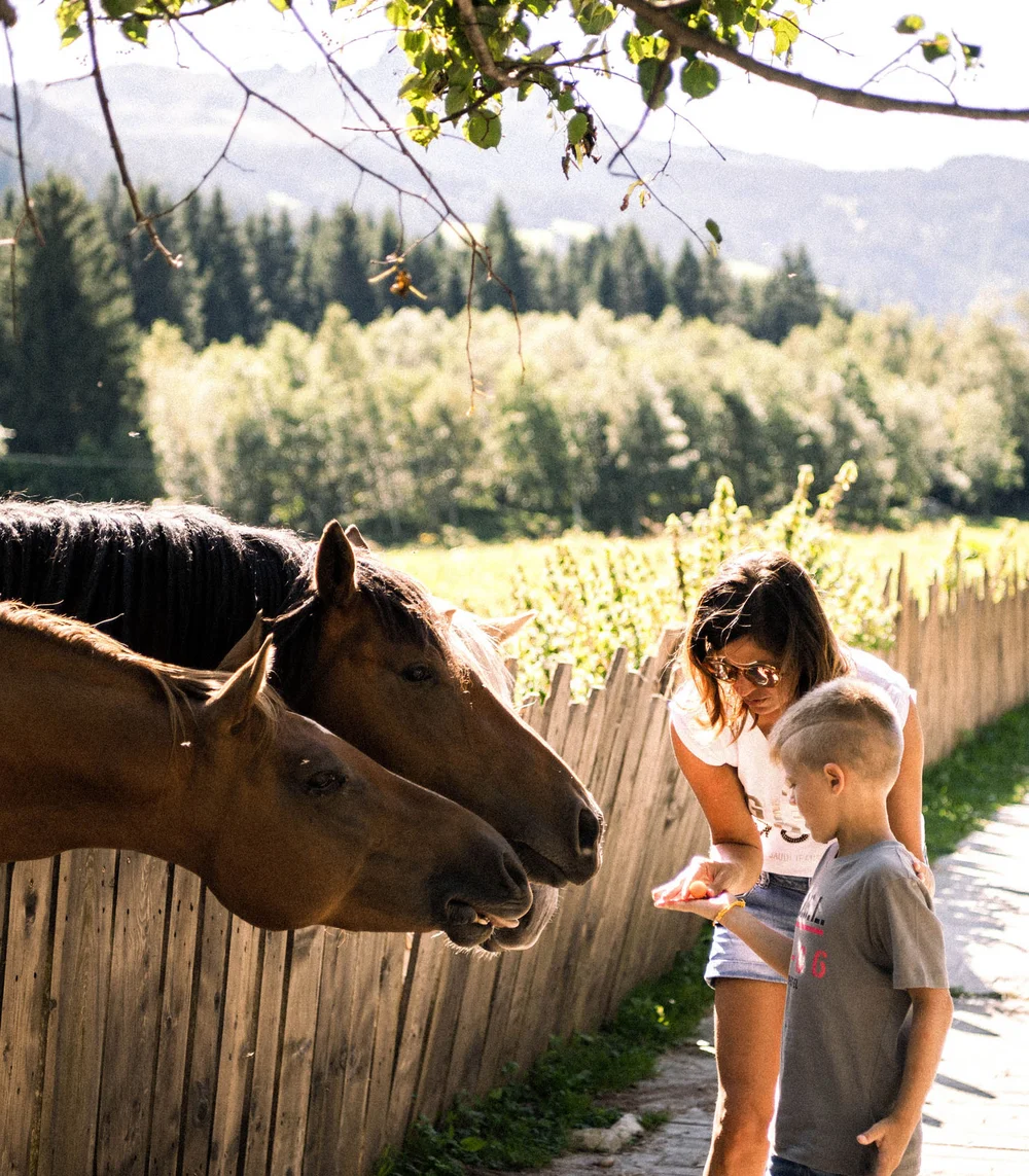 Space for adventure at your hotel with a petting zoo in South Tyrol Space for adventure at your hotel with a petting zoo in South Tyrol
