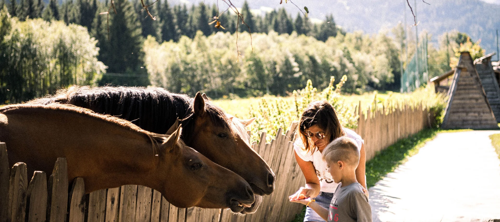 Snapshots that inspire: Alpura Retreat Snapshots that inspire: Alpura Retreat