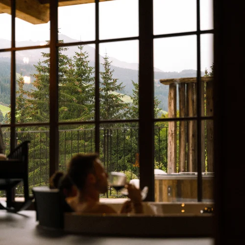 Mons Silva private luxury chalets and penthouse suites