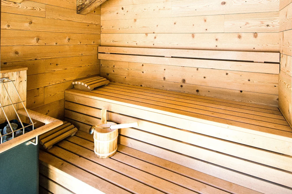 Mons Silva private luxury chalets and penthouse suites