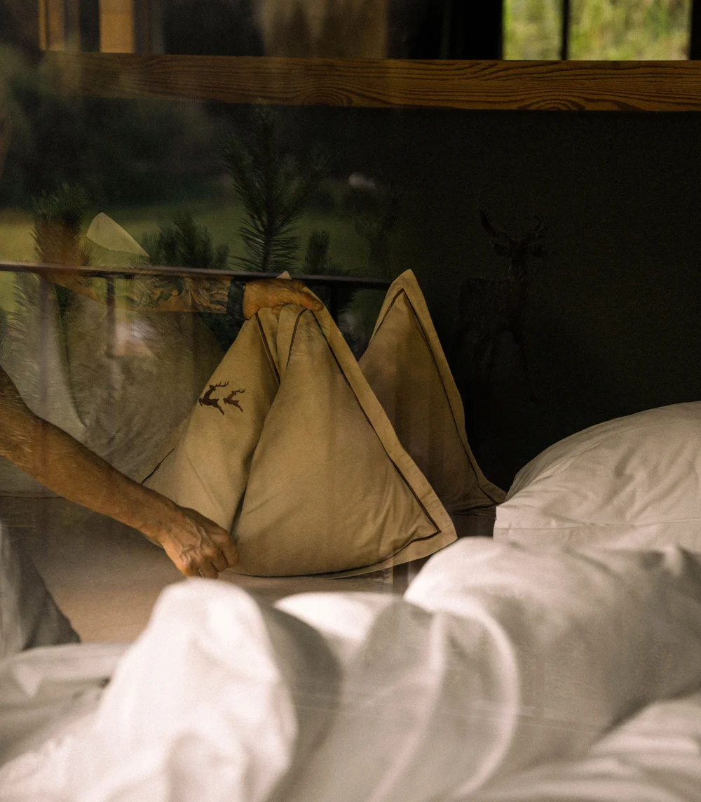 Mons Silva private luxury chalets and penthouse suites