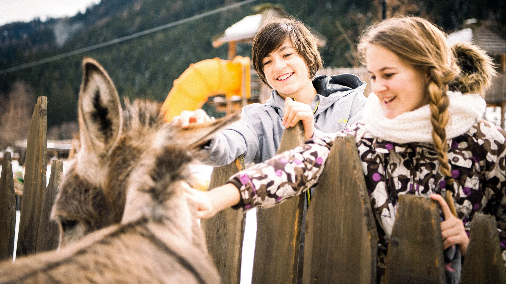 Space for adventure at your hotel with a petting zoo in South Tyrol Space for adventure at your hotel with a petting zoo in South Tyrol