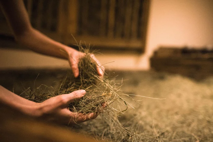 Alpura: treatments and massages near Sterzing