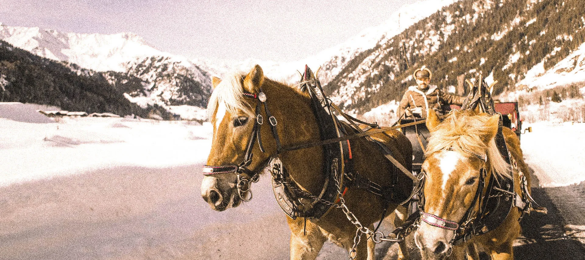 Snapshots that inspire: Alpura Retreat Snapshots that inspire: Alpura Retreat