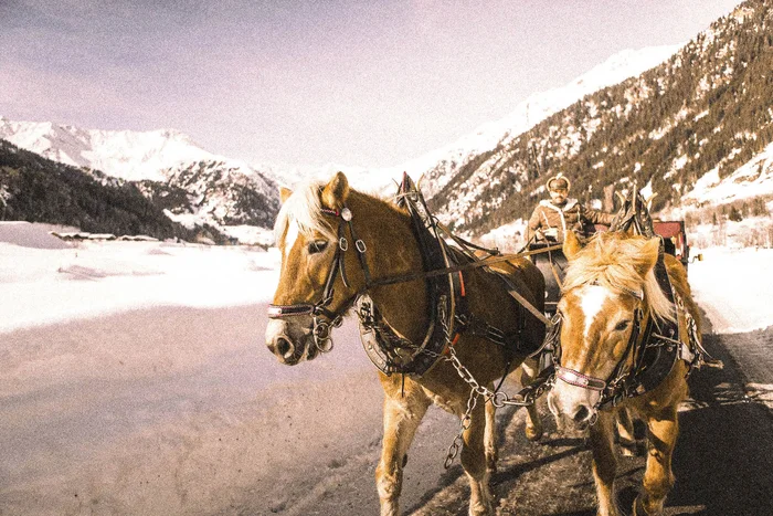 Alpura Retreat: the family hotel in Ratschings, South Tyrol