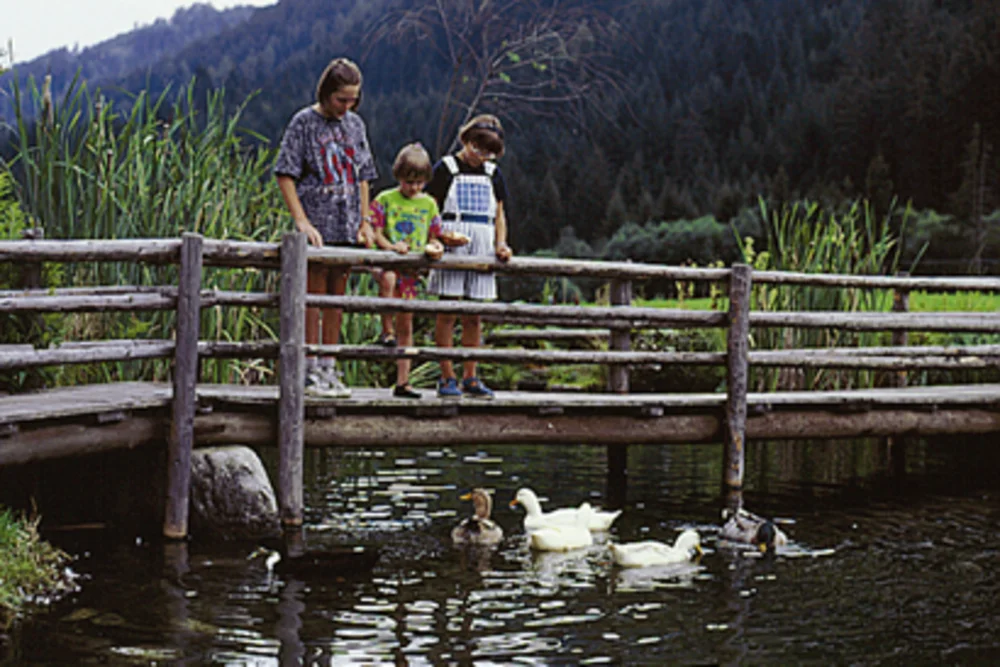 Childlike curiosity at the Alphotel Tyrol's pond: three children watch the ducks from the wooden bridge — an image of family time lived out in nature.