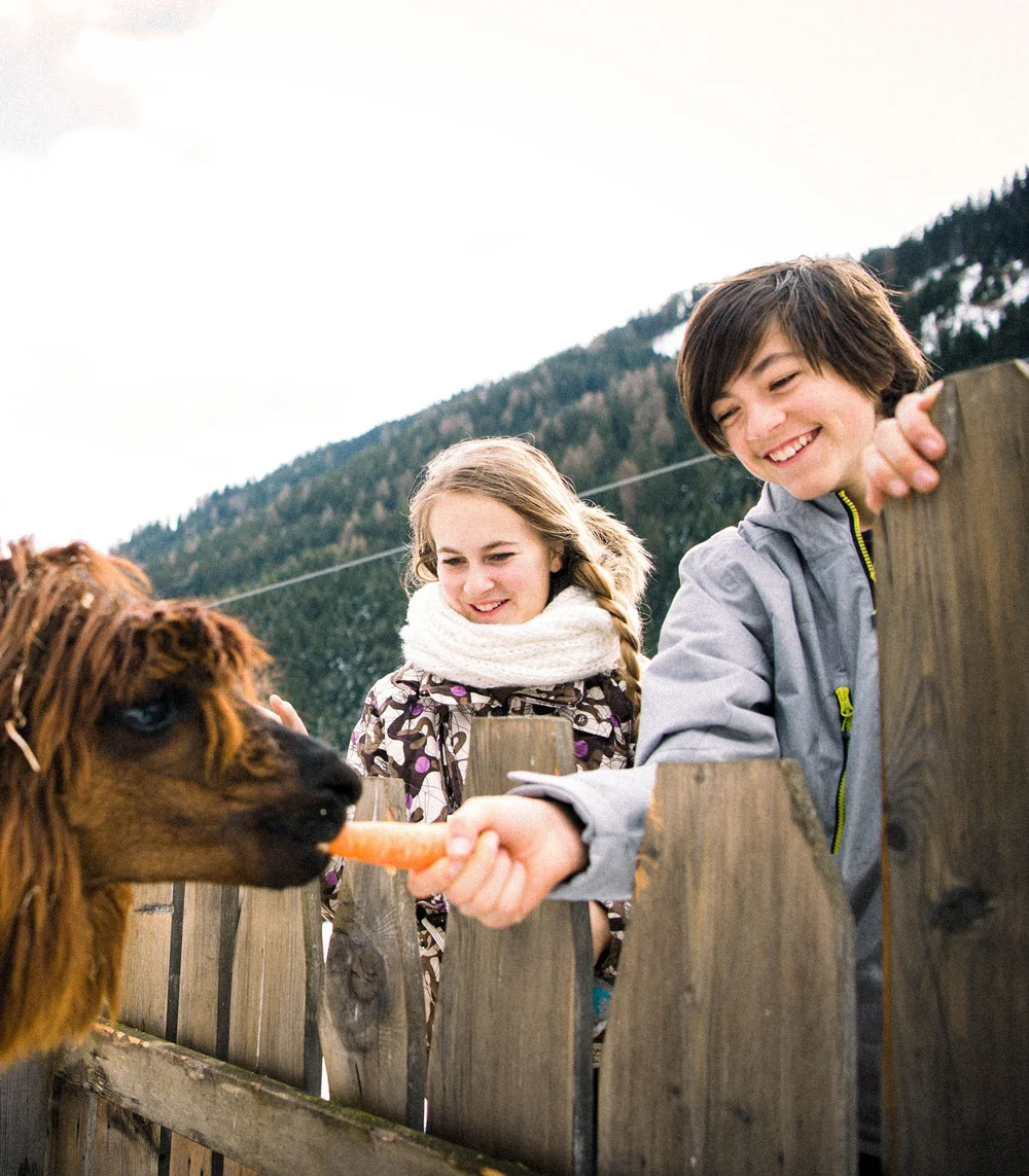 Space for adventure at your hotel with a petting zoo in South Tyrol Space for adventure at your hotel with a petting zoo in South Tyrol