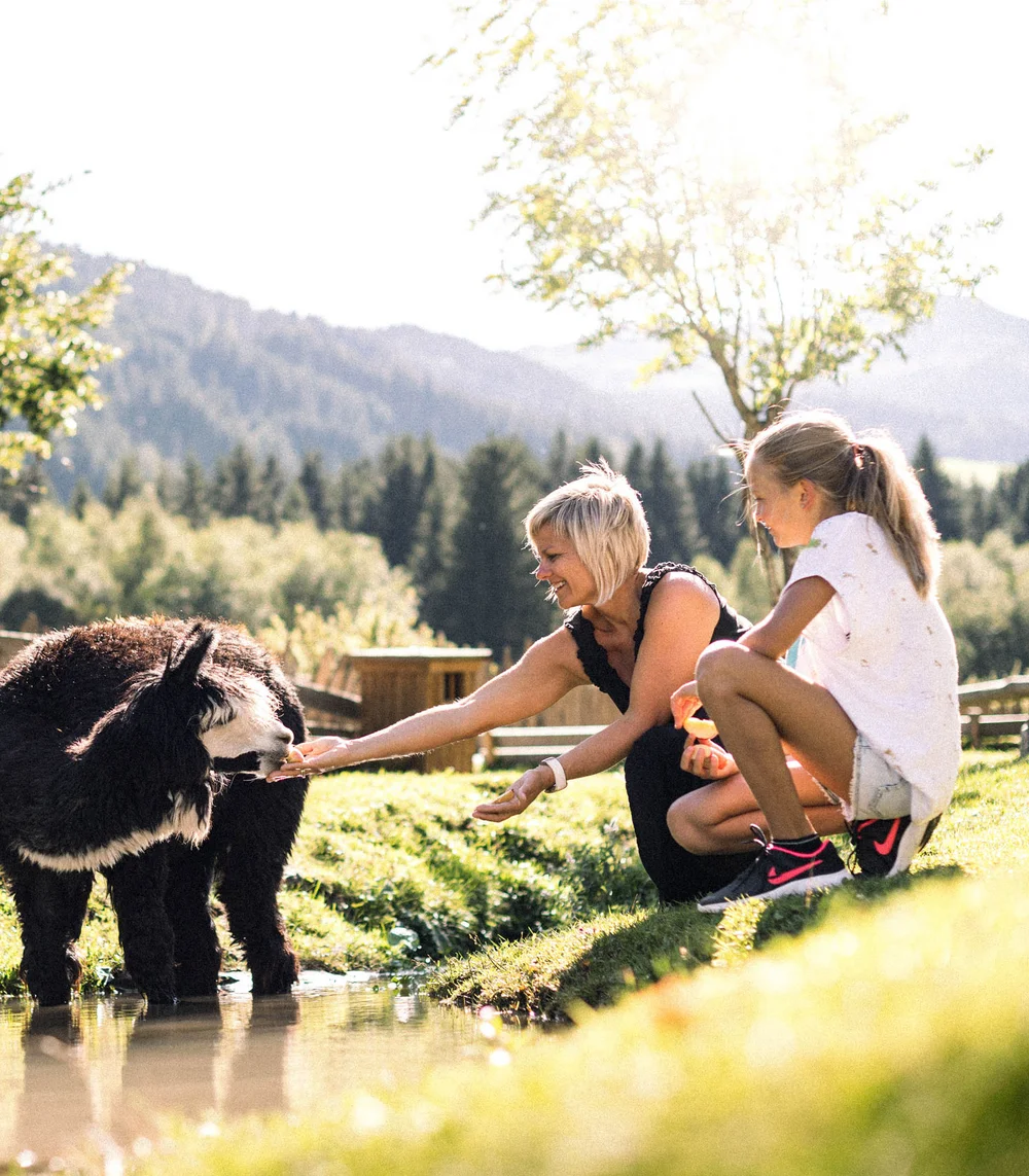 Space for adventure at your hotel with a petting zoo in South Tyrol Space for adventure at your hotel with a petting zoo in South Tyrol