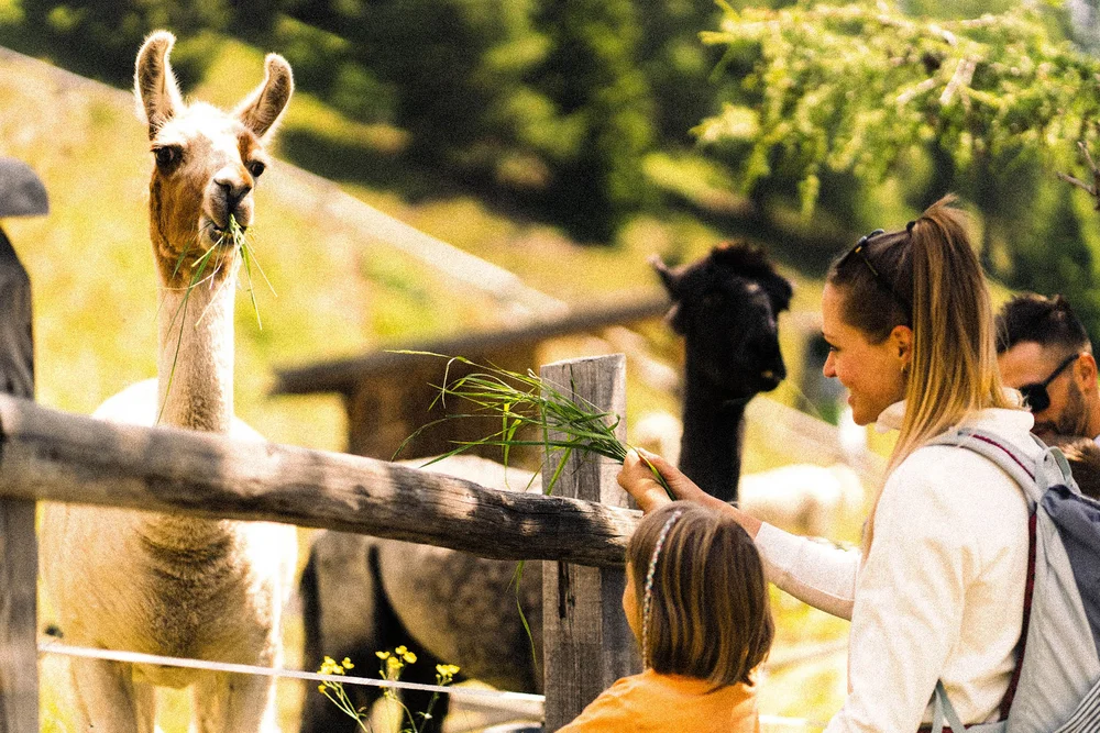 Vacanze estive a Racines: la vacanza perfetta all’Alpura Vacanze estive a Racines: la vacanza perfetta all’Alpura